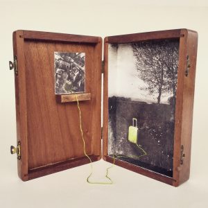 Silvia Braida. Germogliati altrove