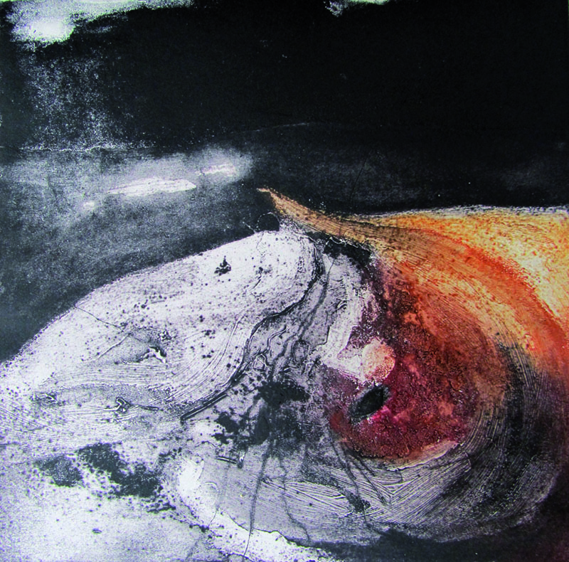 Incisione, SIlvia Braida