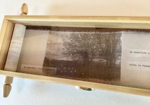 Book art by Silvia Braida