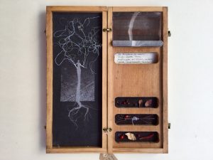 Il mio albero custode01