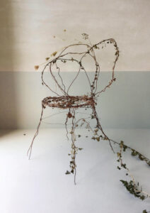 metamorfosi02